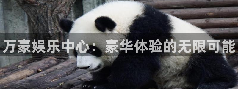 今年会首页