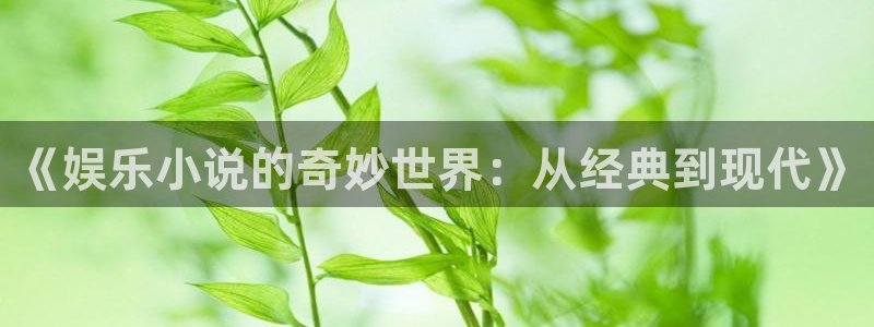 今年会体育