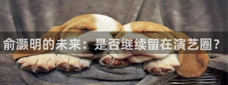 今年会体育