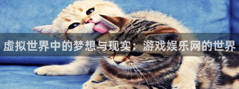 今年会