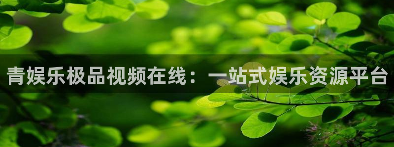 今年会app